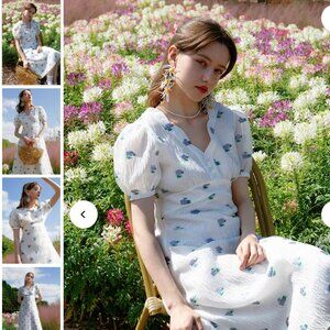 Petite Studio Reverie Dress - XS (NWT)